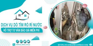Hỗ trợ tư vấn báo giá dò tìm rò rỉ nước tại Bình Tân【Miễn phí】